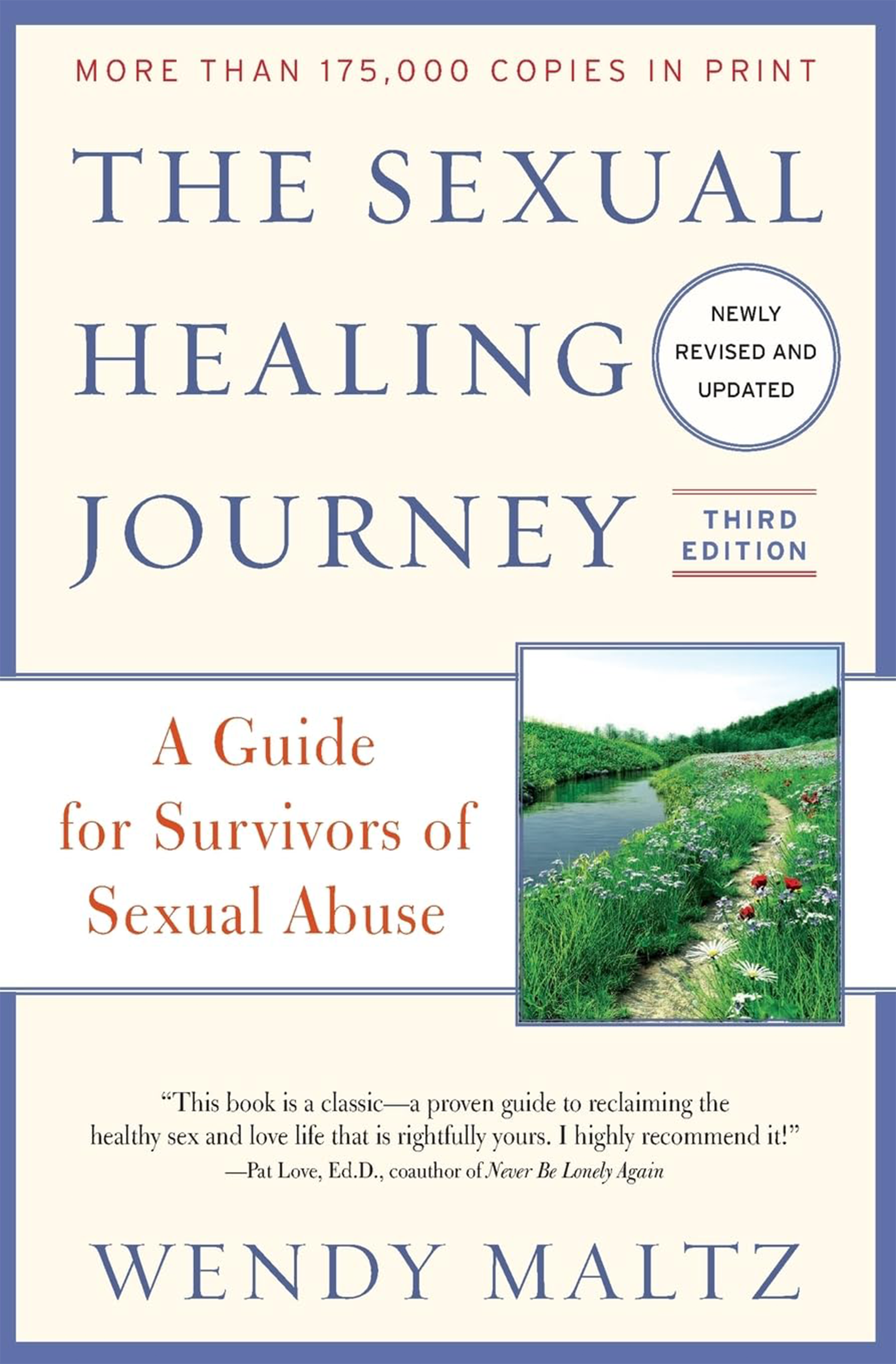 The Sexual Healing Journey