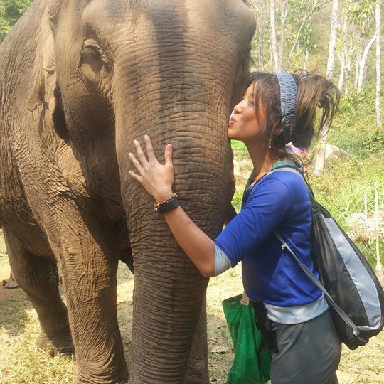 elephant